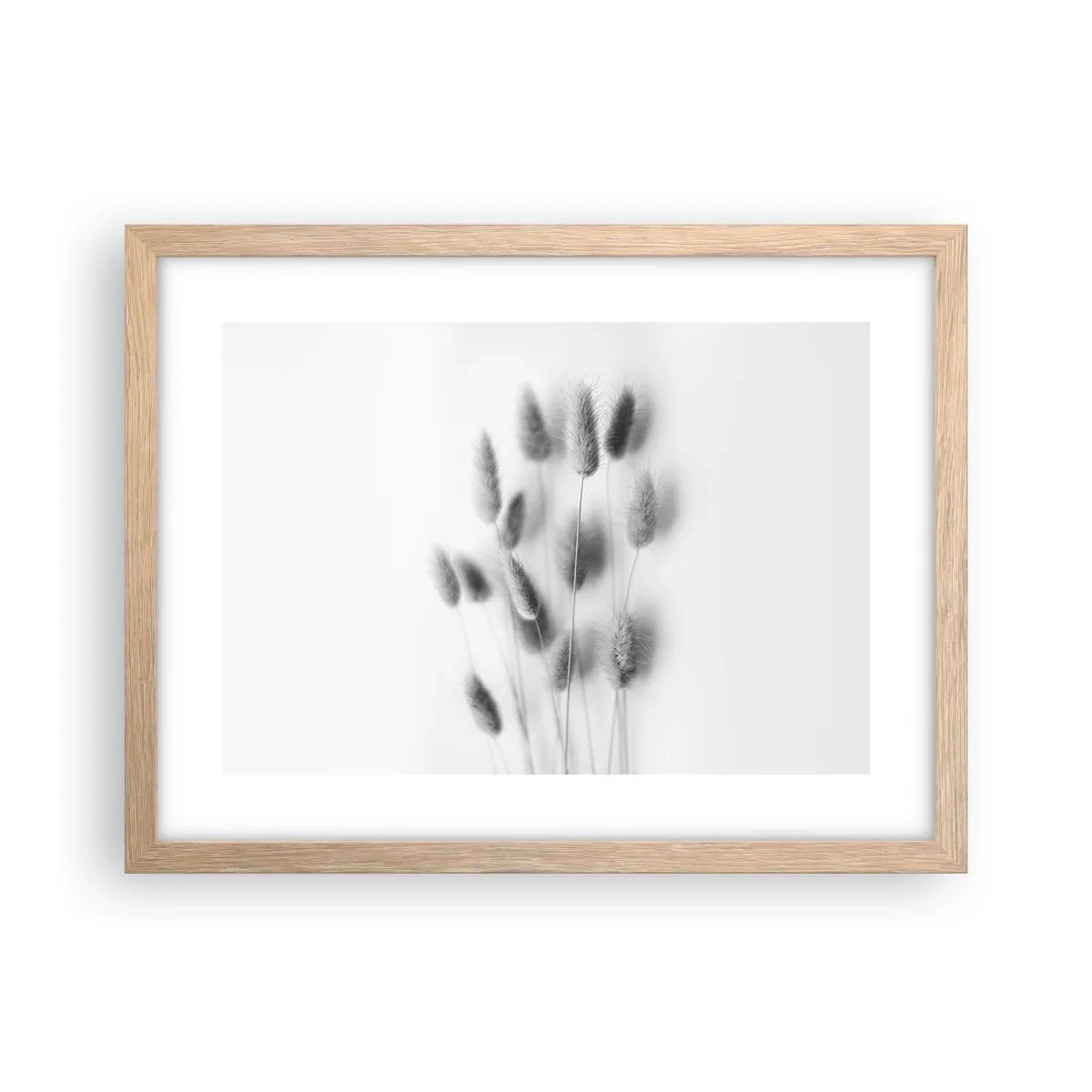 Plakát v rámu světlý dub - Její načechranost tráva - 40x30 cm