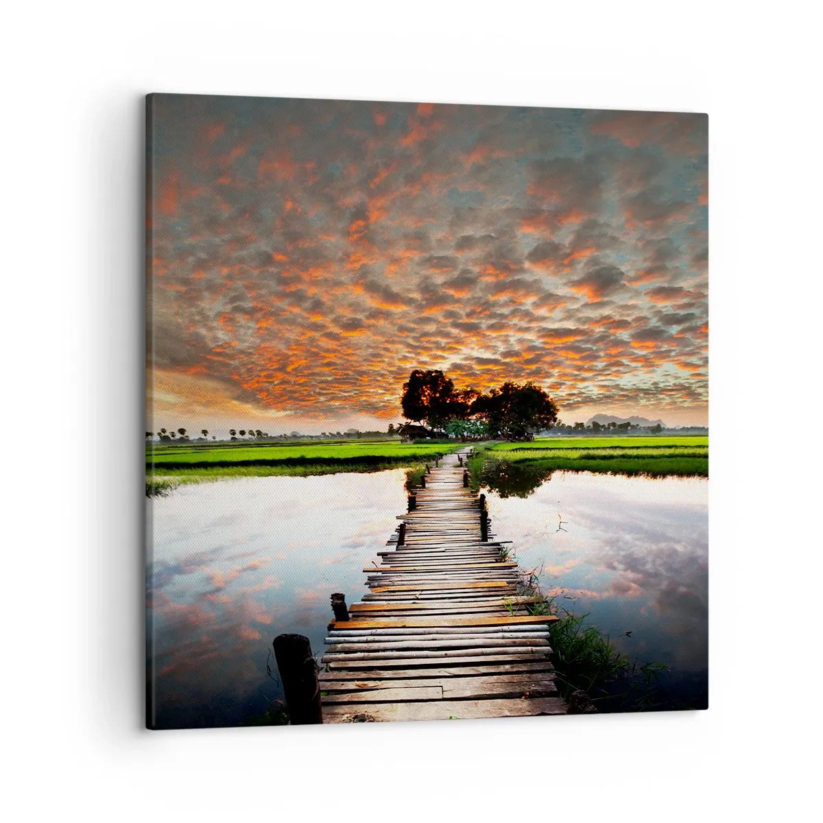 Obraz na plátně - Roztáhněte ruce - dýchejte  - 50x50 cm
