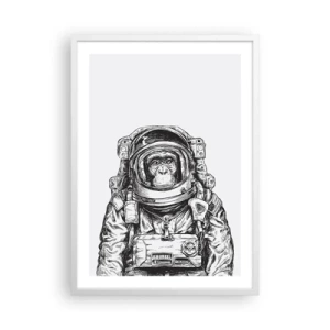 Plakát v bílém rámu - Alternativní vývoj - 50x70 cm