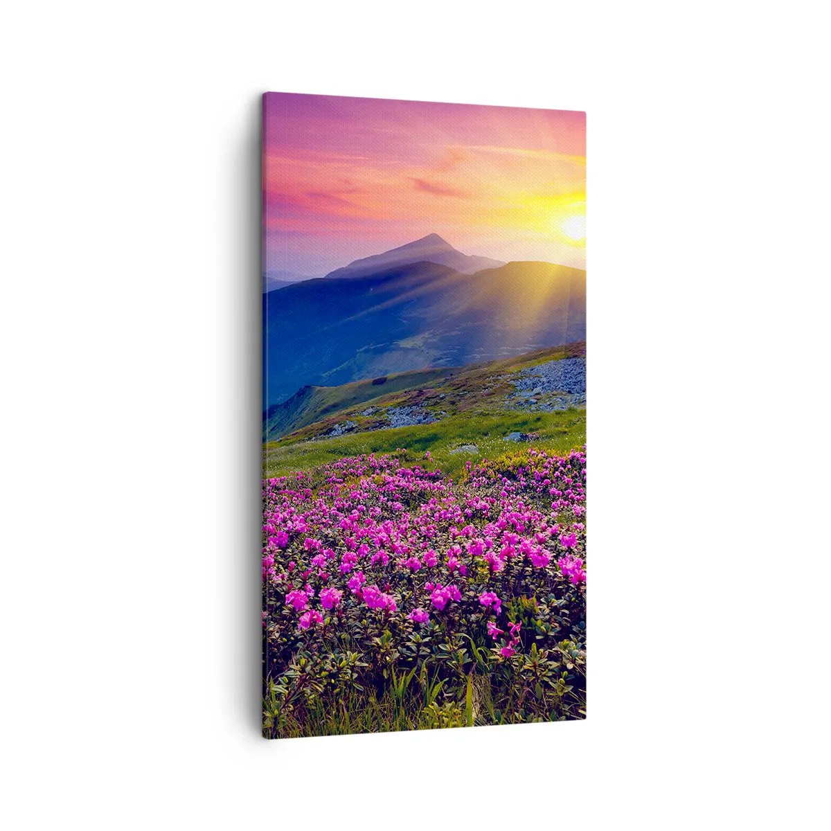 Obraz na plátně - …A kolem voní kosodřevina a voní byliny - 45x80 cm