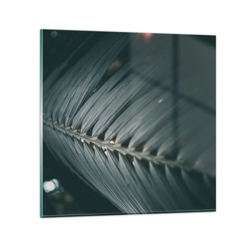 Obraz na skle - Přesnost přírody - 40x40 cm