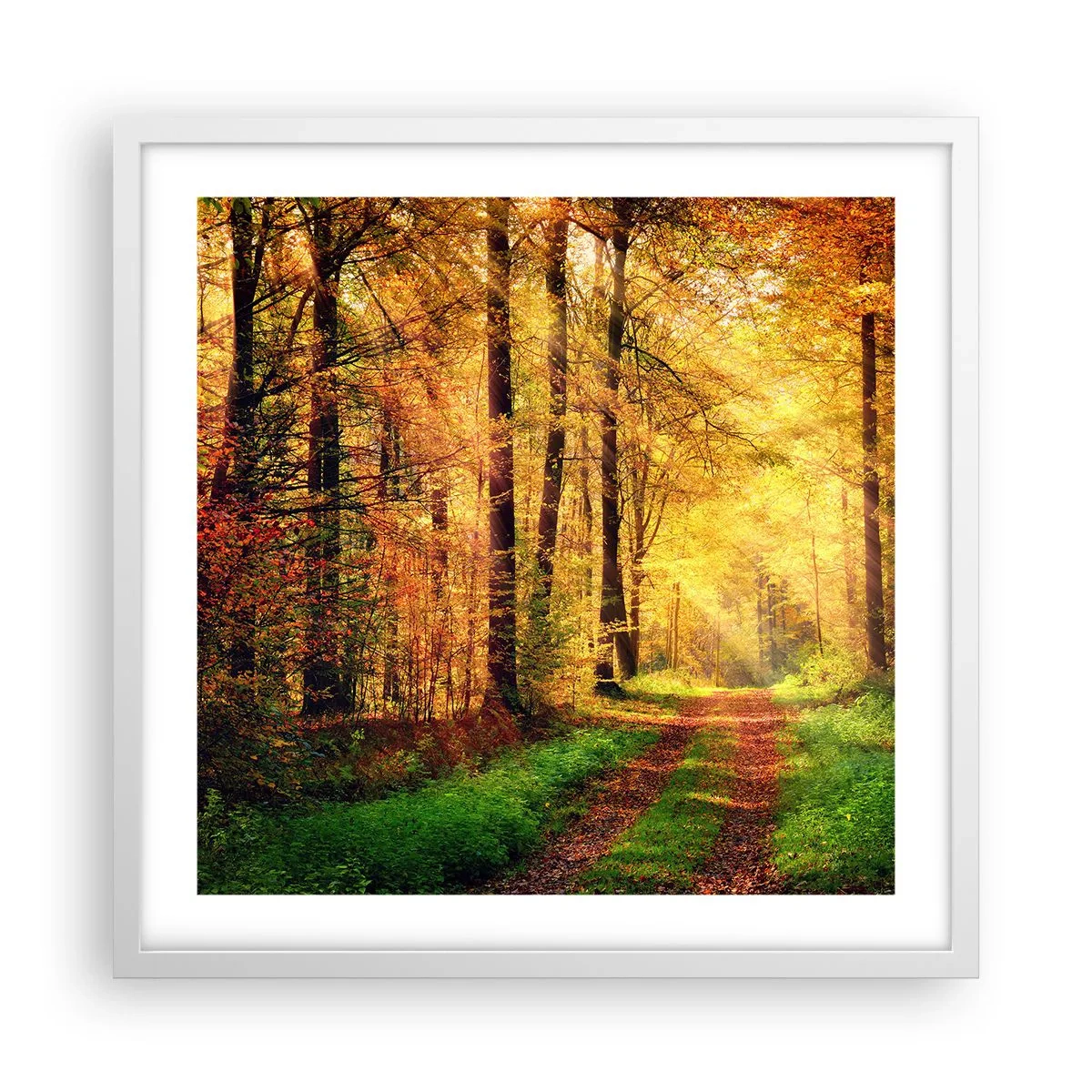 Plakát v bílém rámu - Lesně-zlaté ticho - 50x50 cm