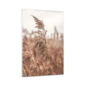 Obraz na skle - Na polích už je podzim - 80x120 cm