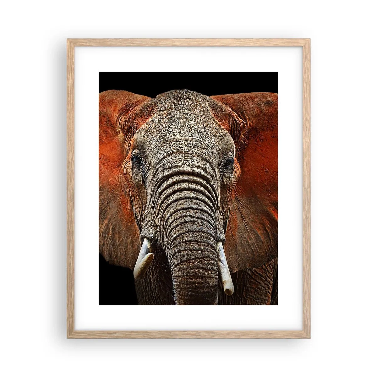 Plakát v rámu světlý dub - Jsem divoký, a ty? - 40x50 cm