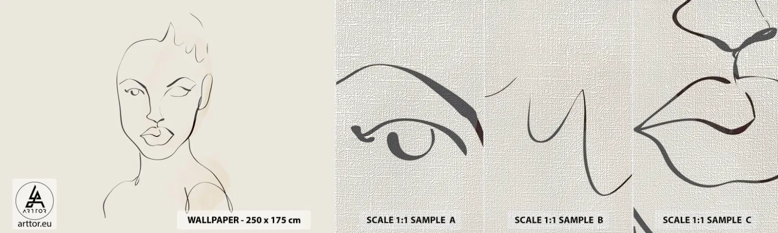 Vzor Fototapety Premium Canvas - Obrys smyslnosti - Žena, Grafika, Kus - 100x30 cm