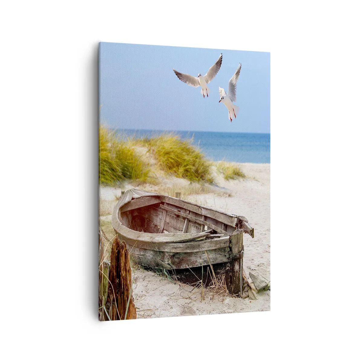 Obraz na plátně - Větrem ozářené - 70x100 cm