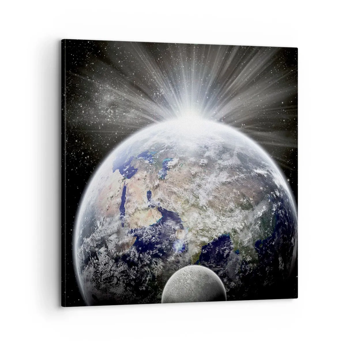 Obraz na plátně - V plném lesku - 60x60 cm