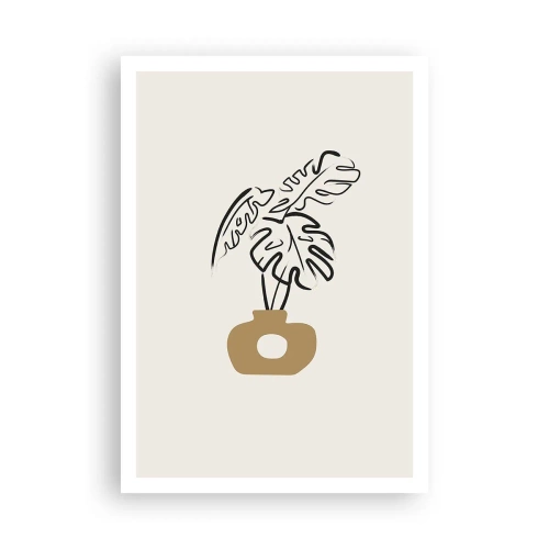 Plakát - Monstera – ozdoba pro domácnost - 70x100 cm