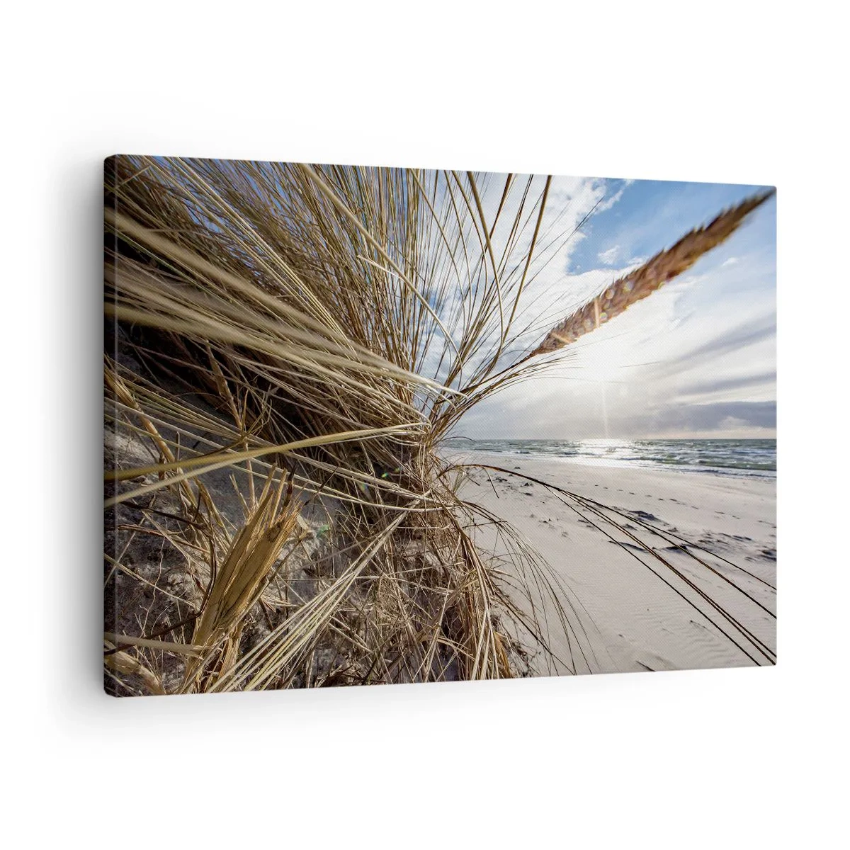 Obraz na plátně - Setkání živlů - 70x50 cm
