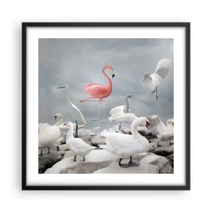 Plakát v černém rámu - Kde jsem se tu vzal? - 50x50 cm