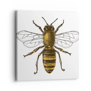 Obraz na plátně - Krásná a dobrá - 40x40 cm