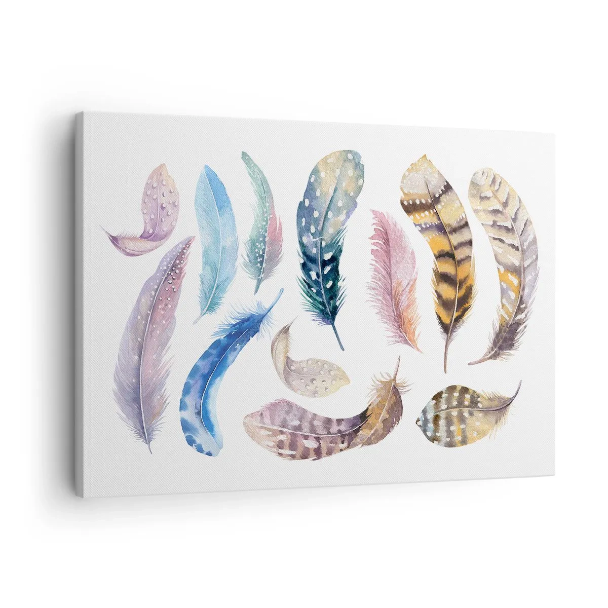 Obraz na plátně - Barevné peří v jemném akvarelovém stylu - 70x50cm - Lehké, strakaté a vícebarevné - Moderní nástěnná dekorace do obývacího pokoje a ložnice ARTTOR