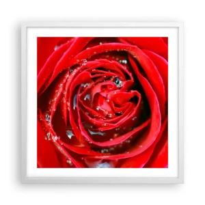 Plakát v bílém rámu - V kapkách rosy - 50x50 cm