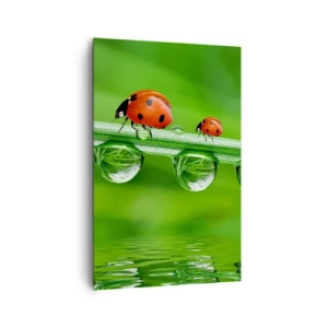 Obraz na plátně - Na cestách celé léto - 80x120 cm