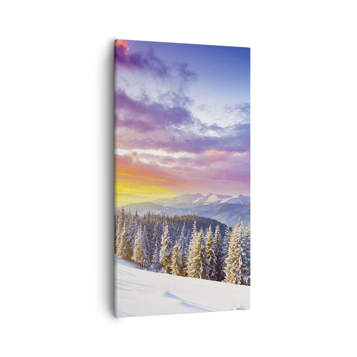 Obraz na plátně - Za bílého dne - 55x100 cm