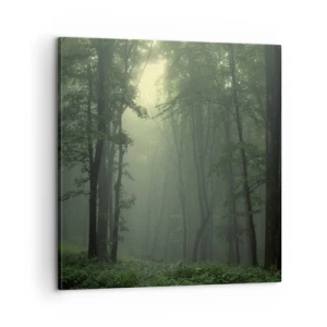 Obraz na plátně - Než se probudí - 60x60 cm