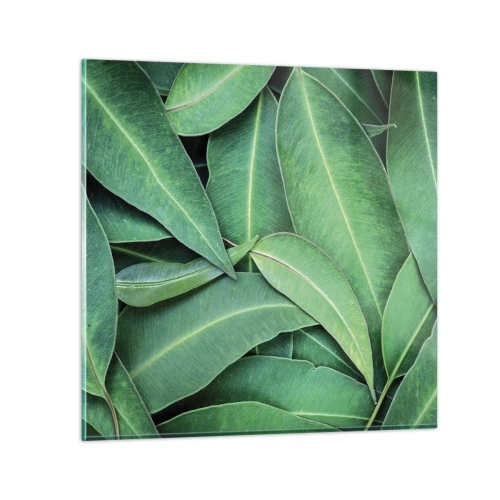 Obraz na skle - Šťavnaté a svěží - 40x40 cm