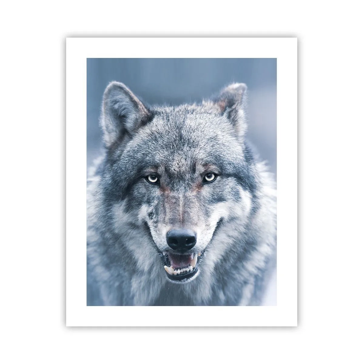 Plakát - Přijmete tuto výzvu? - 40x50 cm