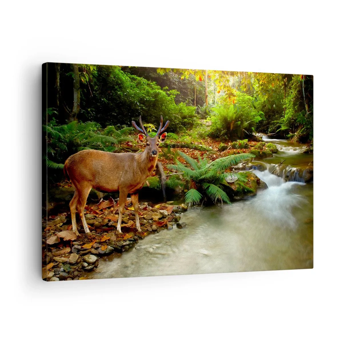 Obraz na plátně - Jelen u potoka obklopeného zelení v lese - 70x50cm - Vítám v mém světě - Moderní nástěnná dekorace do obývacího pokoje a ložnice ARTTOR