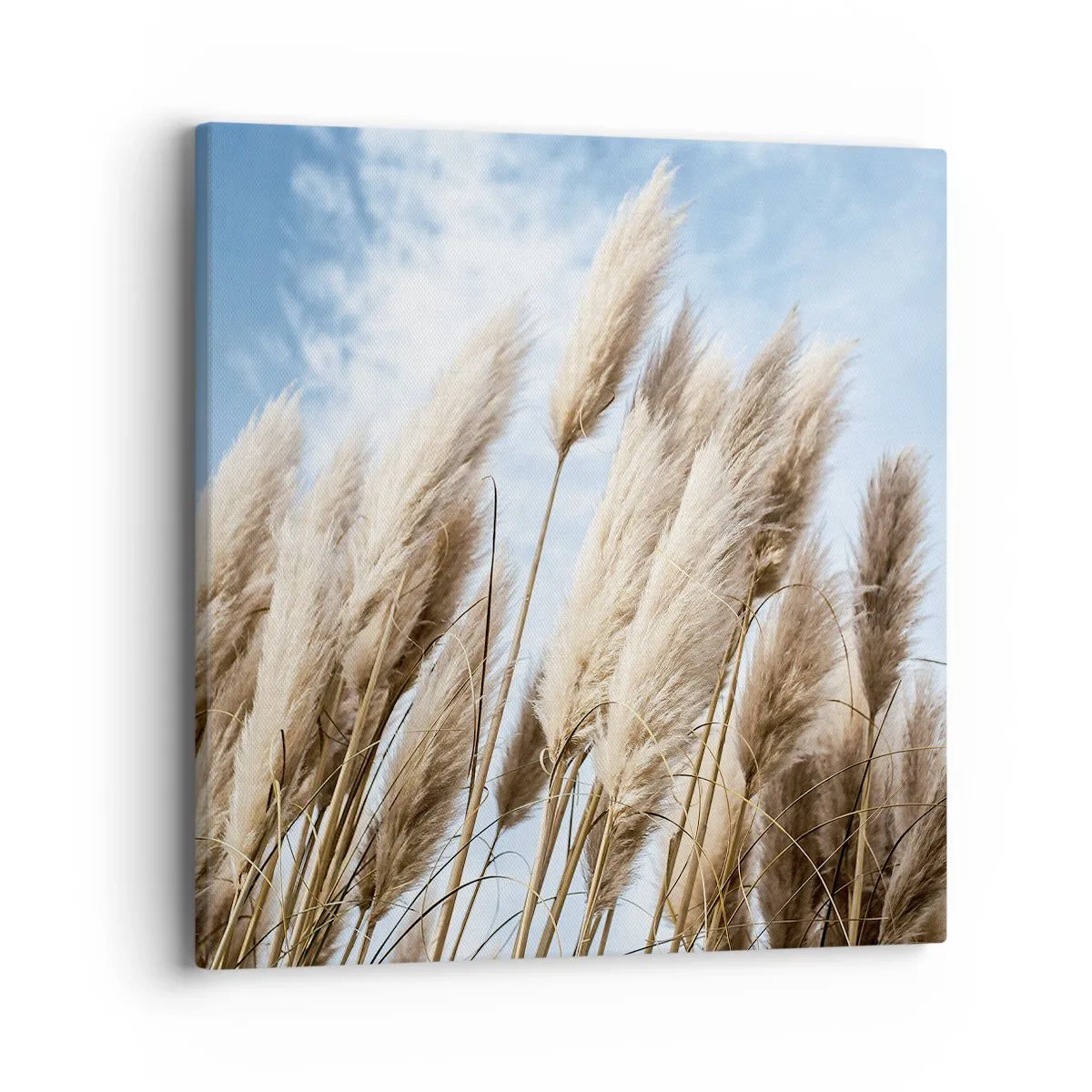 Obraz na plátně - Slunečné a větrné pohlazení - 40x40 cm