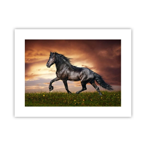 Plakát - Černý kníže - 40x30 cm