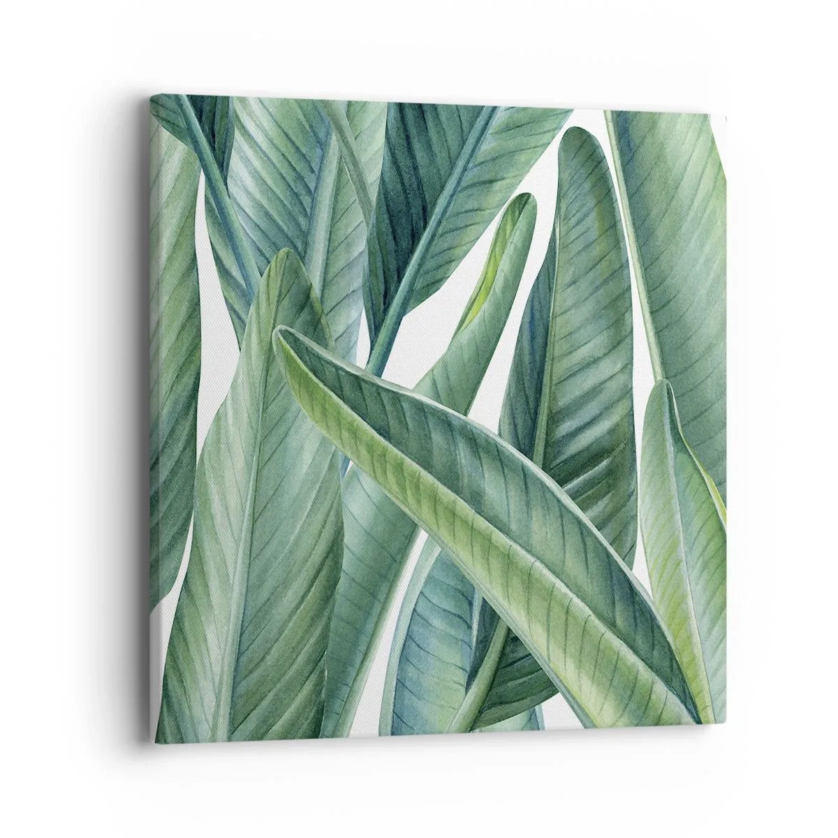 Obraz na plátně - Prostě zelená - 40x40 cm