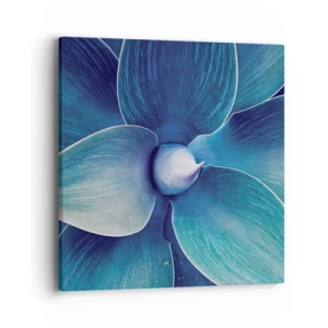 Obraz na plátně - Namodralý od nebe - 40x40 cm