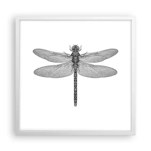 Plakát v bílém rámu - Přesnost přírody - 50x50 cm