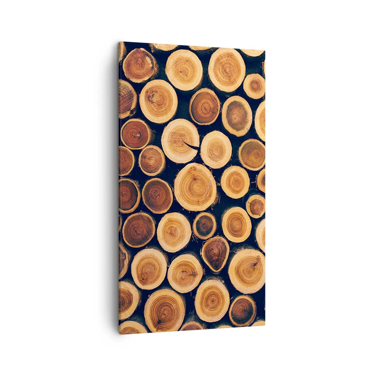 Obraz na plátně - Na kolik vypadám? - 45x80 cm