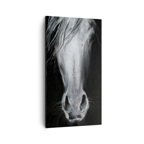 Obraz na plátně - Svůdný pohled - 45x80 cm