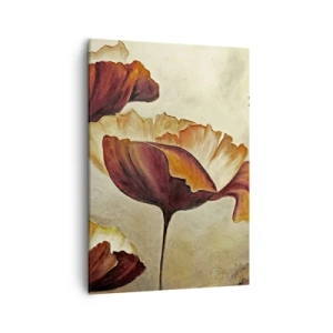 Obraz na plátně - Lán louky - 50x70 cm