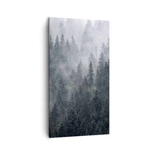 Obraz na plátně - Lesní svítání - 45x80 cm