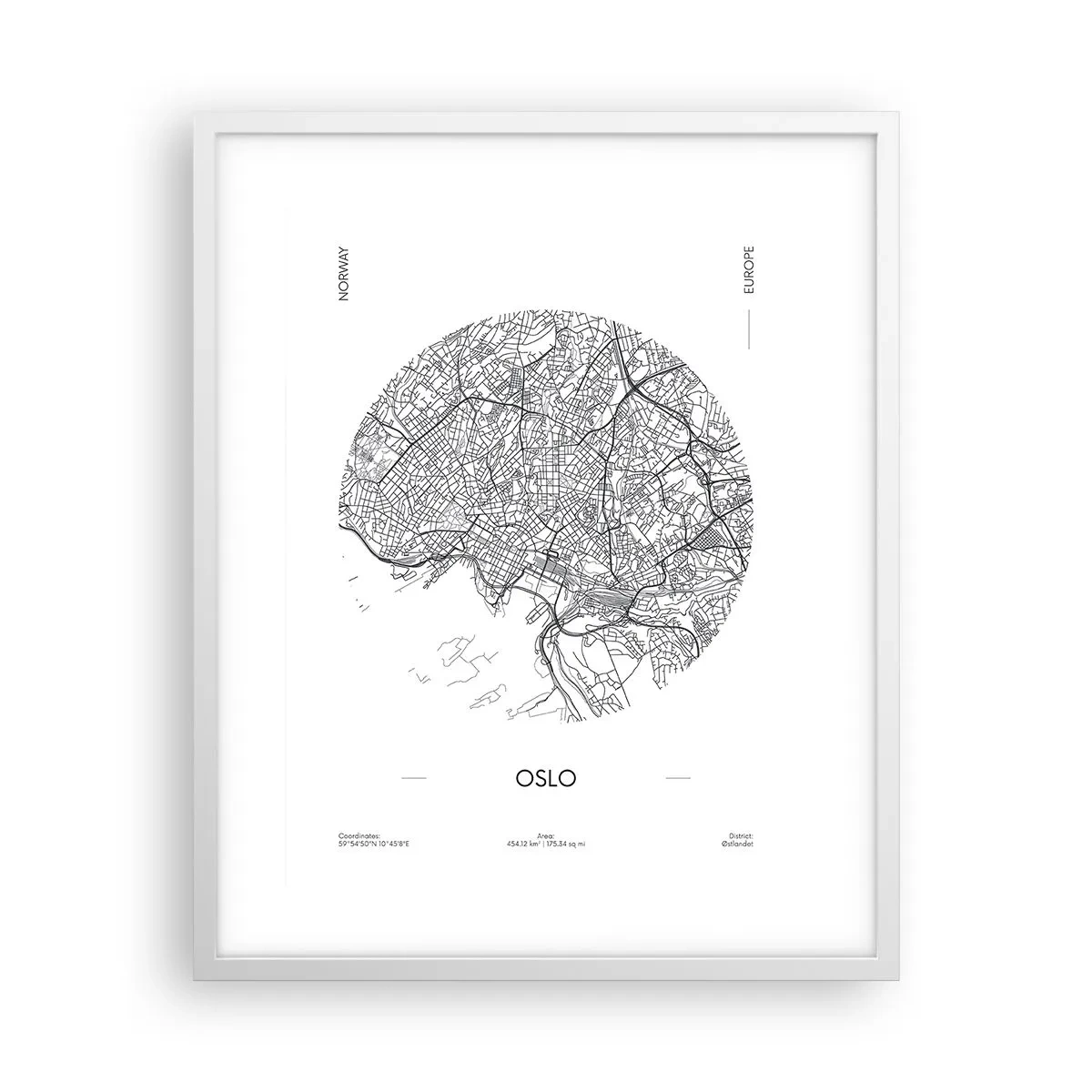 Plakát v bílém rámu - Anatomie Osla - 40x50 cm