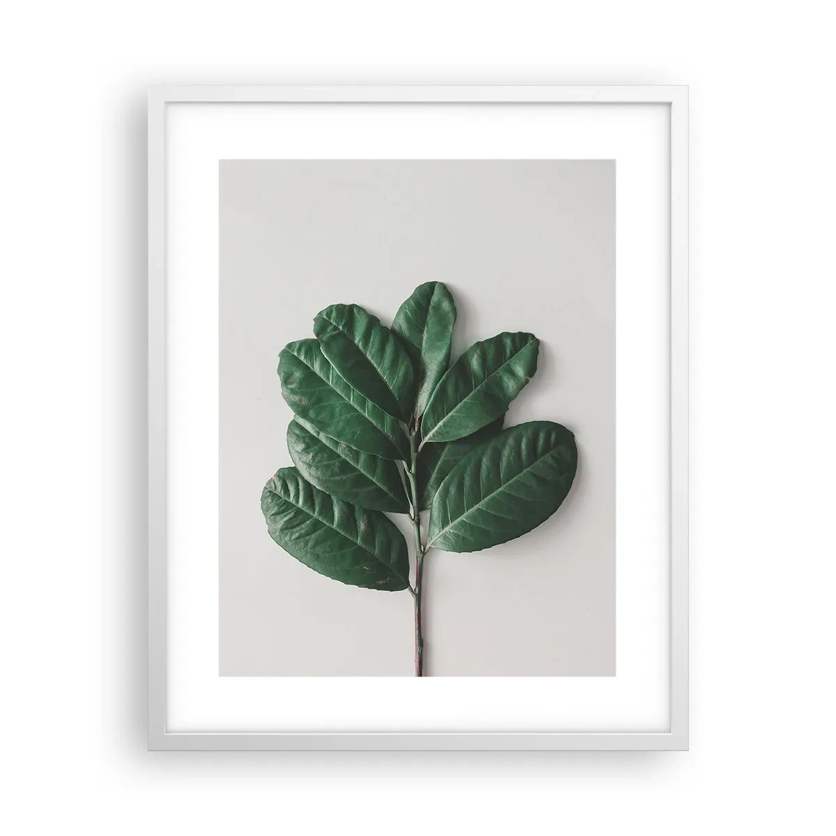 Plakát v bílém rámu - Kresba samotné přírody - 40x50 cm