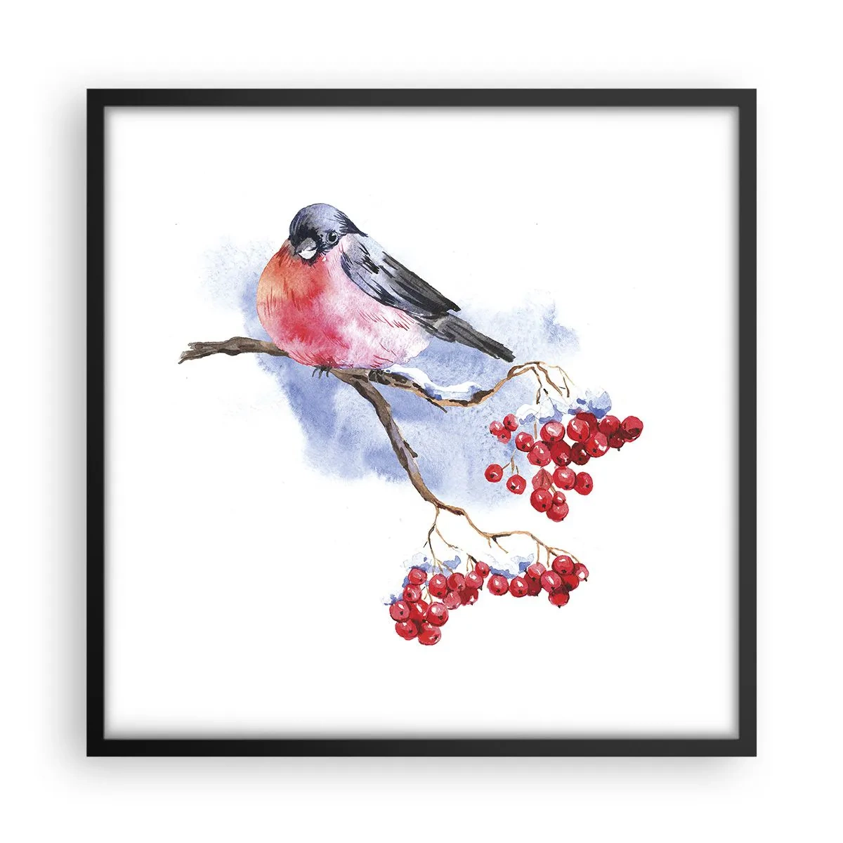 Plakát v černém rámu - Barevná zima - 50x50 cm