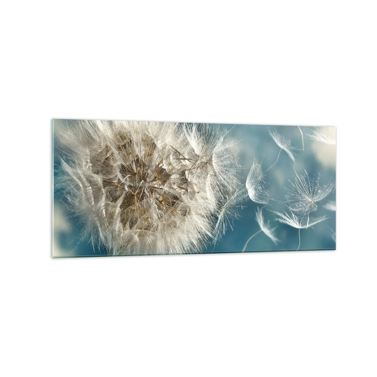 Obraz na skle - Dech anděla - 120x50 cm