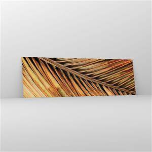 Obraz na skle - Kokosové zlato - 160x50 cm