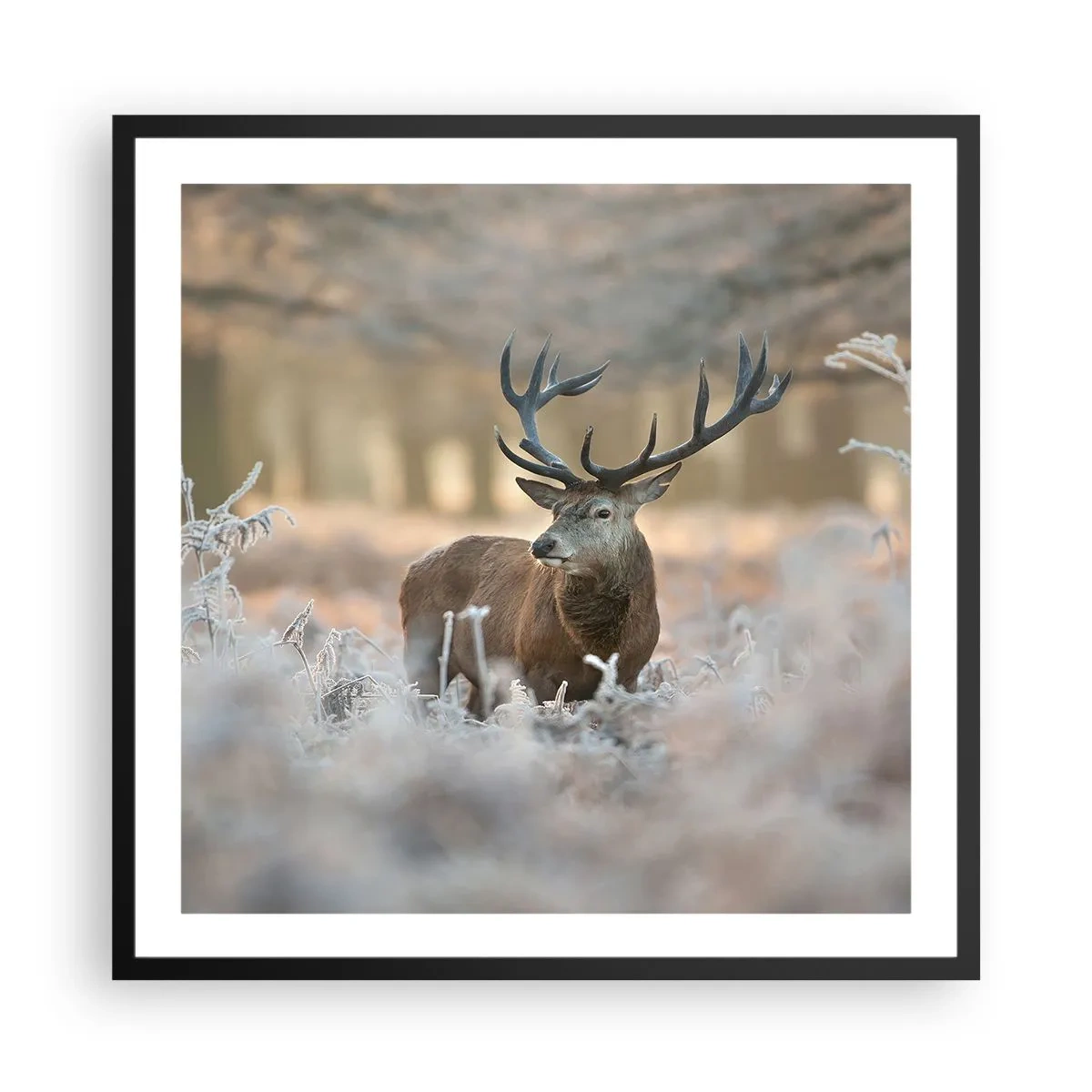 Plakát v černém rámu - Svěží ráno - 60x60 cm