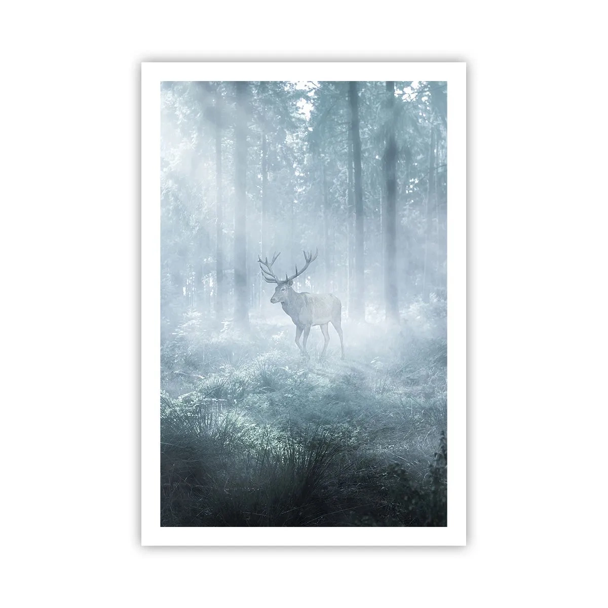 Plakát - Ranní obchůzka sídliště - 61x91 cm