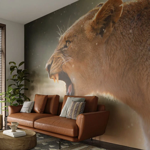 Fototapeta Premium Sand - Snaž se neposlouchat - Zvířata, Lev, Afrika - 300x210 cm