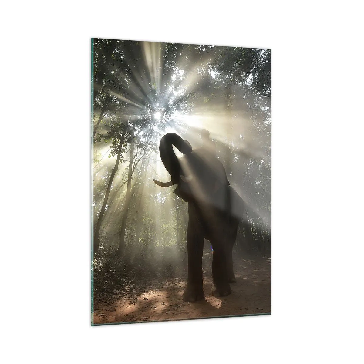 Obraz na skle - Pod šťastnou hvězdou - 50x70 cm
