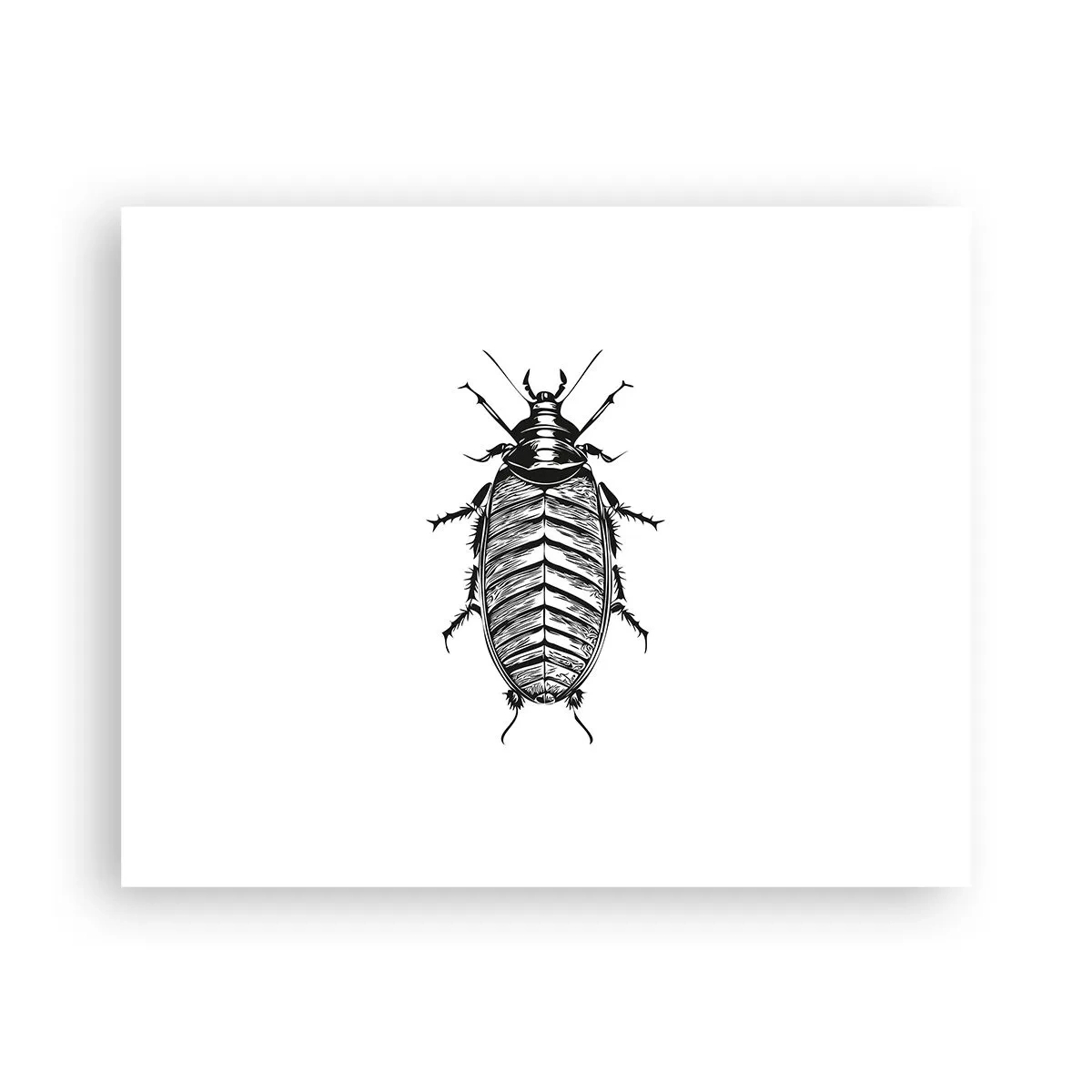 Plakát - Vzorový exemplář! - 50x40 cm