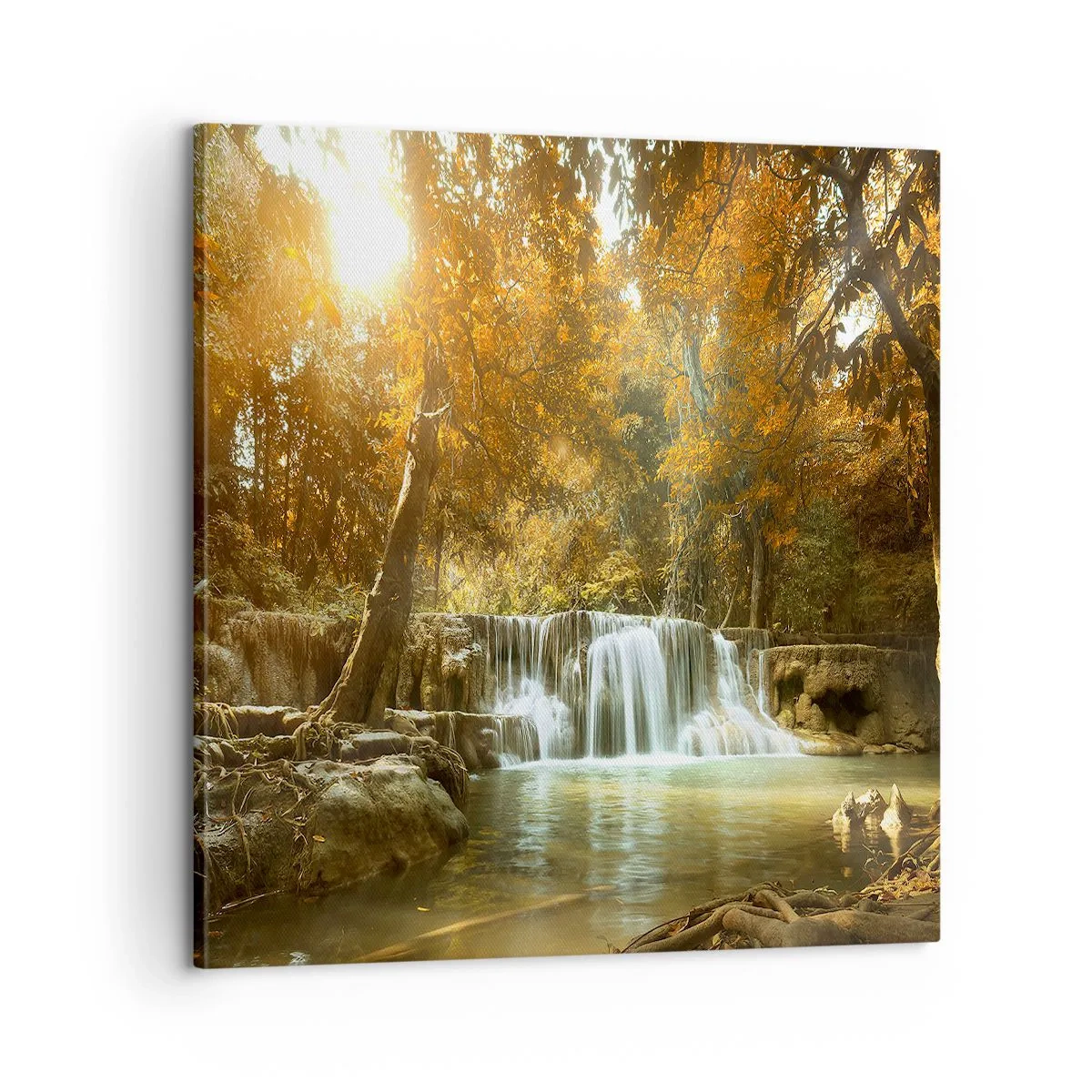 Obraz na plátně - Parkový vodopád - 60x60 cm