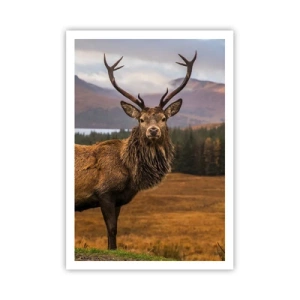 Plakát - Majestát přírody - 70x100 cm