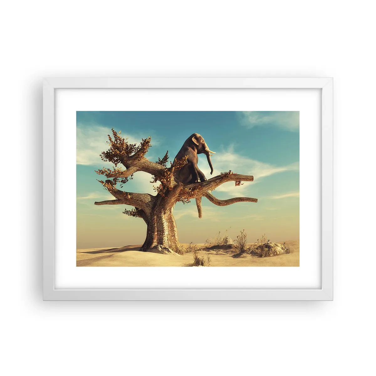 Plakát v bílém rámu - Nový úhel pohledu - 40x30 cm