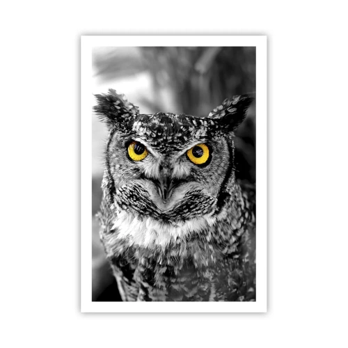 Plakát - Nic se neschová - 61x91 cm