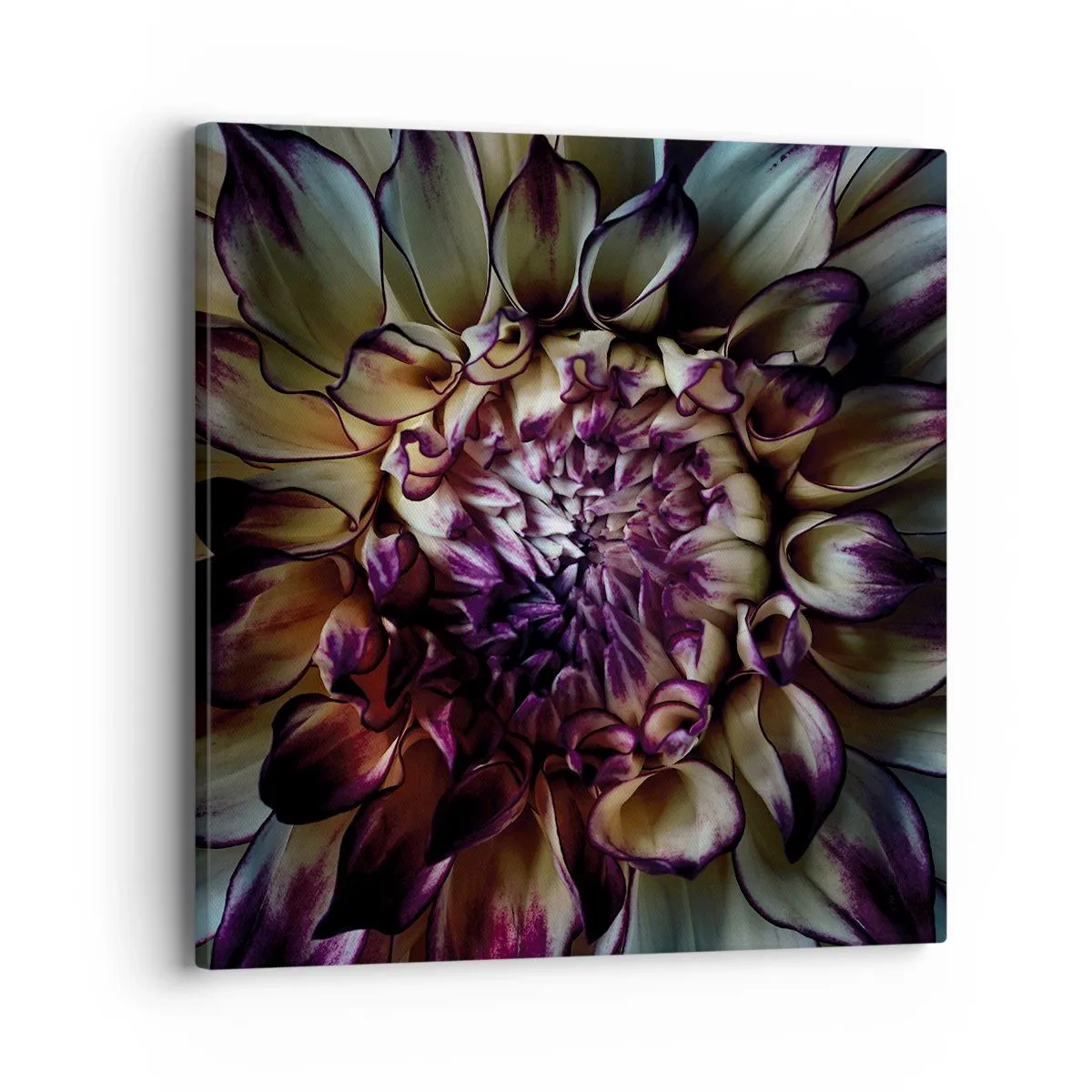 Obraz na plátně - Rozkvět mládí - 40x40 cm