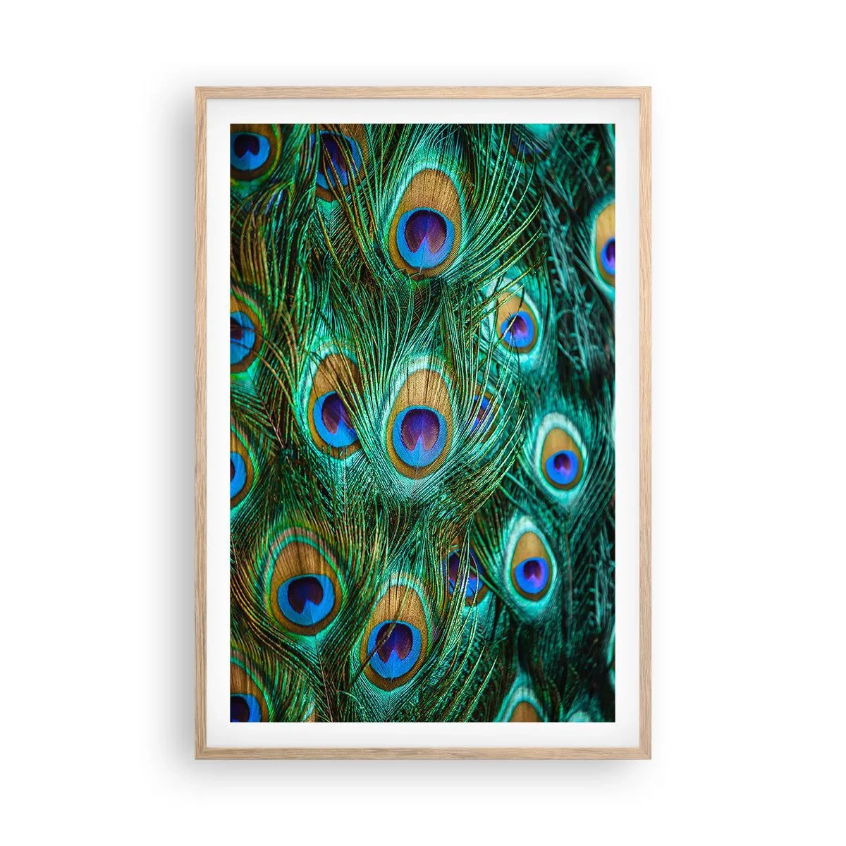 Plakát v rámu světlý dub - Paví pohled - 61x91 cm