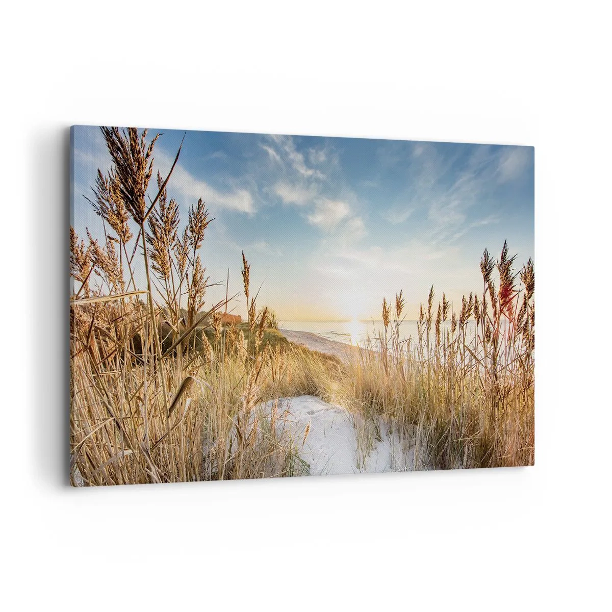 Obraz na plátně - Severní pláž - 120x80 cm