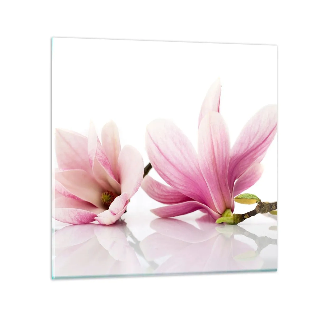 Obraz na skle - Jemné jako závan jara - 40x40 cm